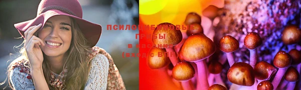 таблы Алзамай