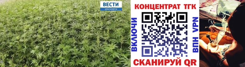 ТГК Wax  Талдом 