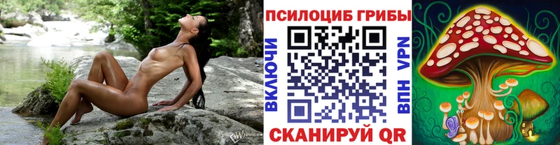 Псилоцибиновые грибы Psilocybe KRAKEN как зайти Талдом где купить